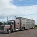 Dan Crowe Trucking - Facebook