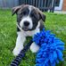 Daniel Croxford - Facebook
