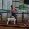 Dan Croyle - @dan.croyle - TikTok