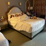 Dan Crull - @dan.crull54 - Instagram