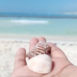 Daniel Cuevas - @_dancue - Instagram