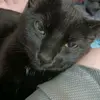 Daniel Cullinane - @daniel.cullinane0 - TikTok