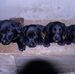 Dan Curley - Facebook