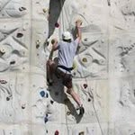 Dan Curtiss - @dcurtiss26 - Instagram