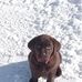 Dan Custer - Facebook