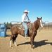 Dan Manning Cutting Horses - Facebook
