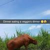 Daniel Cuttings - @dan.cuttings - TikTok