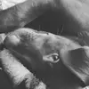 Danielle Dahlberg - @danielle.dahlberg - TikTok