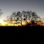 PappaD - @dandahlberg - Instagram