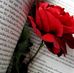 Danya Dalke - Facebook