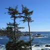 danadamron843 - @danadamron843 - TikTok