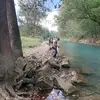 Dan Davis - @dandavis1372 - TikTok