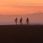 Dan Davis - @dan.davis_ - Instagram
