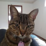Dan DeVille - @dan.deville.58 - Instagram