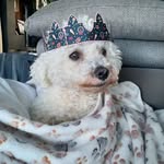 dandeville - @lilas93500 - Instagram