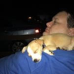 Dan DeVoe - @dan.devoe - Instagram