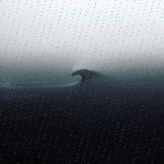Dan Dewald - @leventhase484 - Instagram
