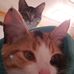Dani DeWan - Facebook