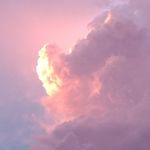 Dan DeYoung - @dan.deyoung.16 - Instagram