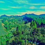 Dandi cesper gual geol - @dandi_cesper_gual_geol - Instagram