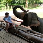 Dan Dickinson - @dandickinson - Instagram