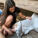 Danuza Dieter - @danuzadieter - Instagram
