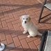Dan DiGirolamo - Facebook