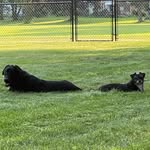 Dan Dilbeck - @ddilbeck - Instagram