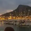 danieladilger - @danieladilger - TikTok