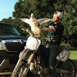 Dan Dillon - @danno05 - Instagram