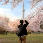淡定·東京 - @dandingtokyo - Instagram
