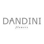 Dandini Flowers Weybridge - @dandiniflowers - Instagram