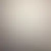 DaneDiPaolo - @danedipaolo - TikTok