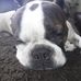 Dana Diplock - Facebook