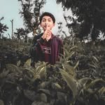 @dan.dipo - Instagram