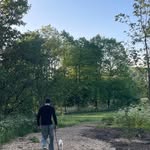 Dan Dishman - @dandishmanmusic - Instagram
