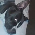 Dan Dishman - @dandishman5 - Instagram