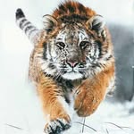 Dann Dishong - @dann.dishong.70 - Instagram