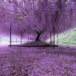 Danila Di Tullio - @danila_ditullio_ - Instagram