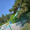 Divine Dany - @divine.dany - TikTok