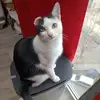 Divine Dany - @divine.dany3 - TikTok