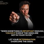 Dandizzo - @dandizzo4 - Instagram