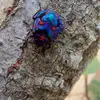 user9503549392808 - @dan.dorian - TikTok