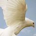 Daniel Dorr - Facebook