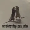dan down - @dan.down0 - TikTok