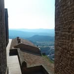 Dan Downs - @danield528 - Instagram