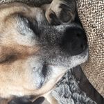 Dan Goochhole Drennan - @meandfudge - Instagram