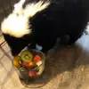 dannydrummonds - @dannydrummonds - TikTok