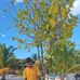 Dandry - Facebook