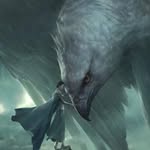 Dan Dube - @dandube1968 - Instagram